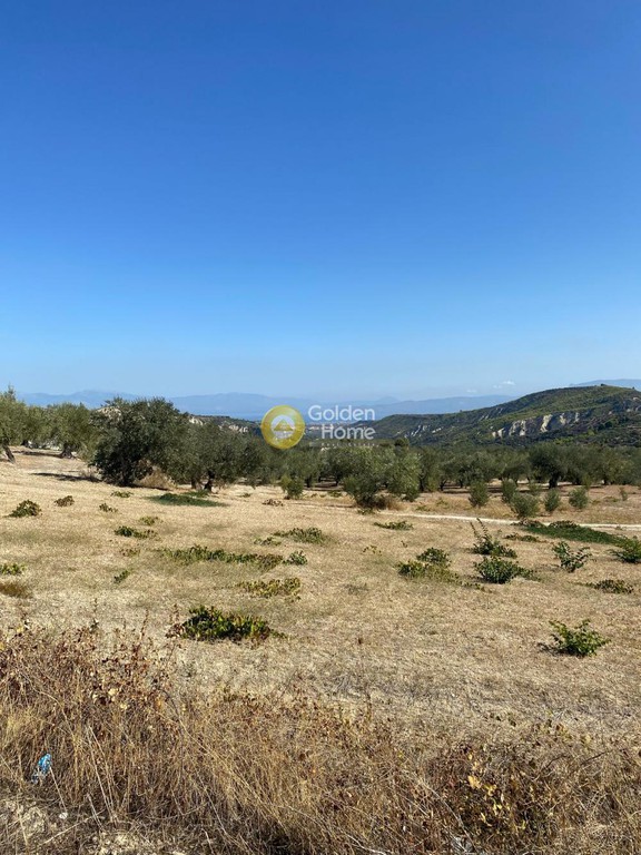 Οικόπεδο 5.245 τ.μ. προς πώληση, Χαλκειό