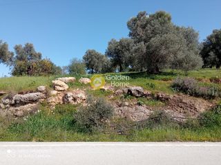 Αγροτεμάχια 3.500 τ.μ. για πώληση