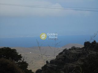 Αγροτεμάχια 4.000 τ.μ. για πώληση