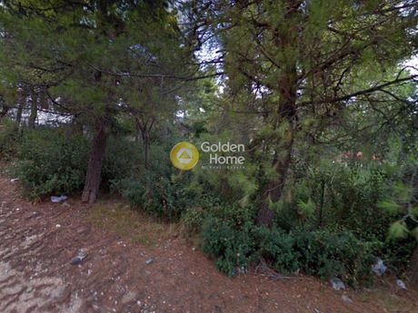 Land plot 700 sqm for sale