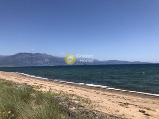Οικόπεδο 70.000 τ.μ. για πώληση, Μεσσηνία, Καλαμάτα-thumb-4