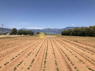 Οικόπεδο 70.000 τ.μ. για πώληση, Μεσσηνία, Καλαμάτα-thumb-1