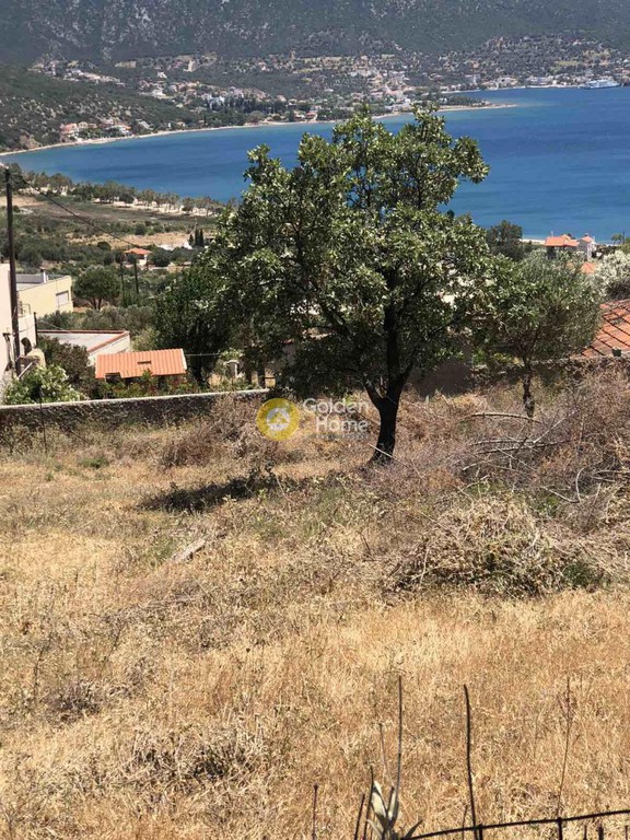 Οικόπεδο 550 τ.μ. προς πώληση, Άγιος Δημήτριος Δύστου