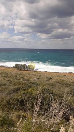 Οικόπεδο 50.000 τ.μ. για πώληση, Ν. Λασιθίου, Νεάπολη