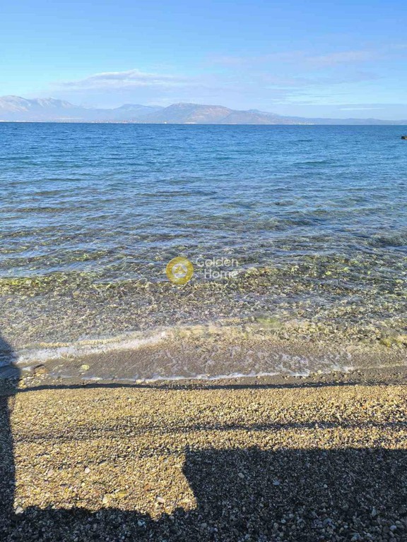 Αγροτεμάχια 22.000 τ.μ. προς πώληση, Καβαλλιανή