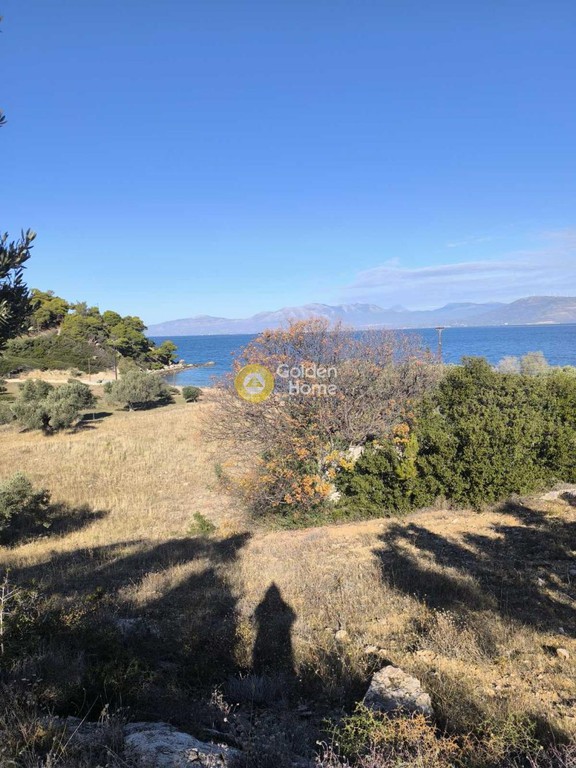 Αγροτεμάχια 22.000 τ.μ. προς πώληση, Καβαλλιανή