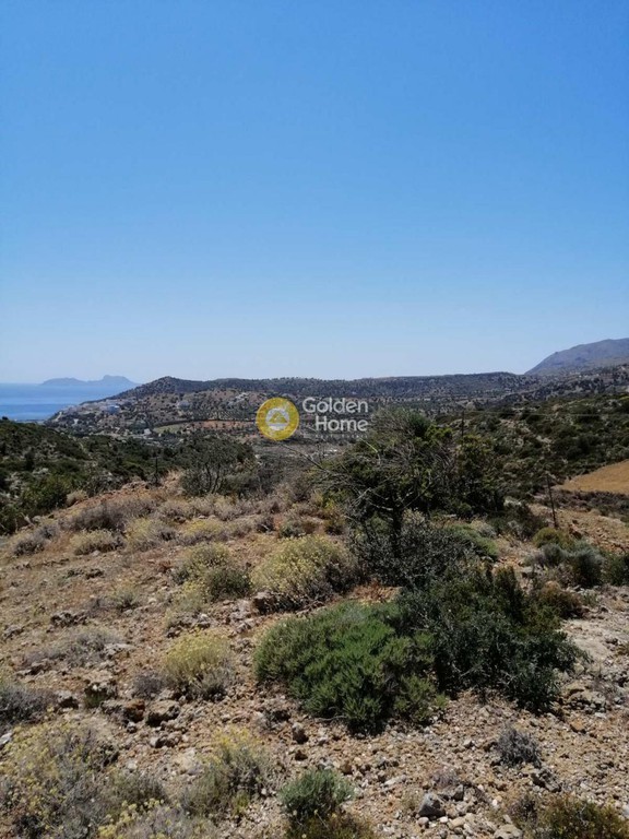 Αγροτεμάχια 8.032 τ.μ. πρός πώληση, Ν. Ρεθύμνου, Λάμπη