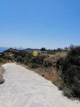 Αγροτεμάχια 8.032 τ.μ. προς πώληση