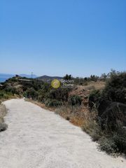 Αγροτεμάχια 8.032 τ.μ. για πώληση