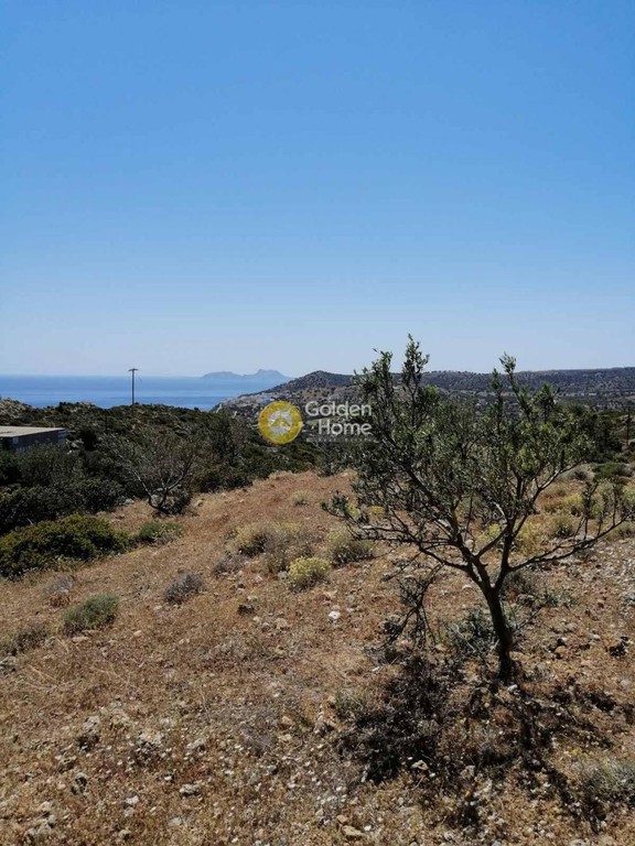 Αγροτεμάχια 8.032 τ.μ. πρός πώληση, Ν. Ρεθύμνου, Λάμπη