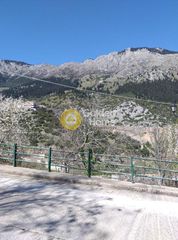 Οικόπεδο 373 τ.μ. για πώληση, Φωκίδα, Παρνασσός-thumb-1