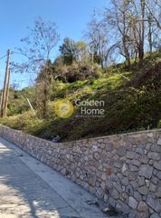 Οικόπεδο 373 τ.μ. για πώληση, Φωκίδα, Παρνασσός-thumb-2