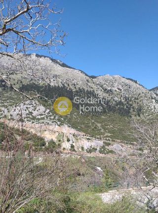 Οικόπεδο 373 τ.μ. για πώληση, Φωκίδα, Παρνασσός