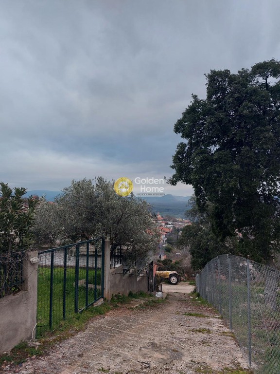 Μονοκατοικία 124 τ.μ. προς πώληση, Κέντρο Δαύλειας