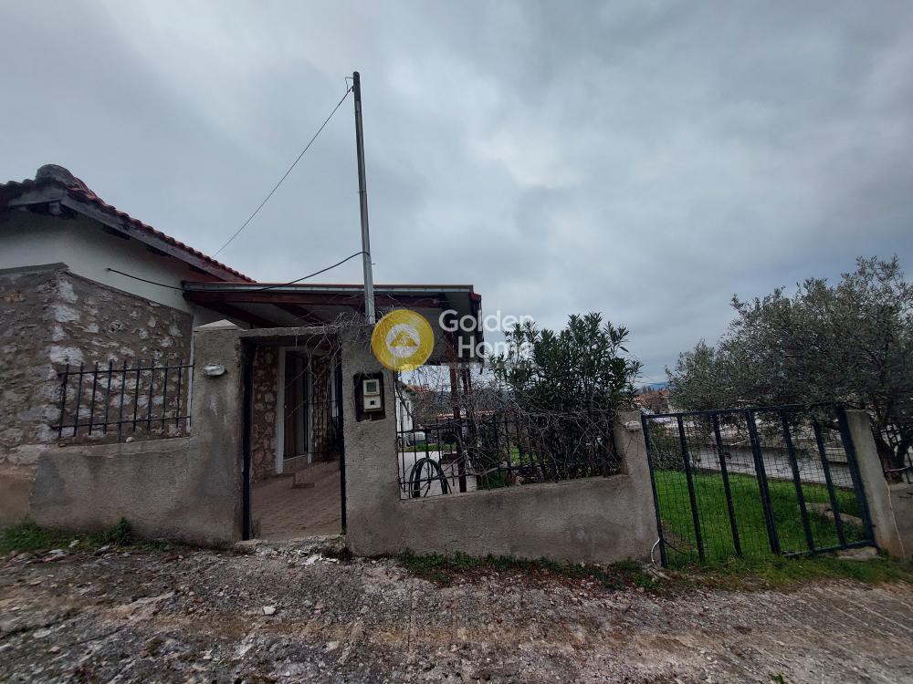Μονοκατοικία 124 τ.μ. προς πώληση, Κέντρο Δαύλειας