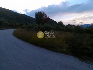 Οικόπεδο 2.000 τ.μ. για πώληση