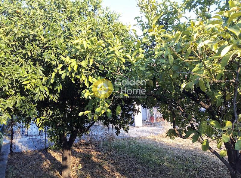 Οικόπεδο 1.000 τ.μ. πρός πώληση, Μαγνησία, Αρτέμιδα