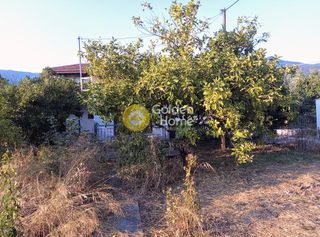 Οικόπεδο 1.000 τ.μ. για πώληση