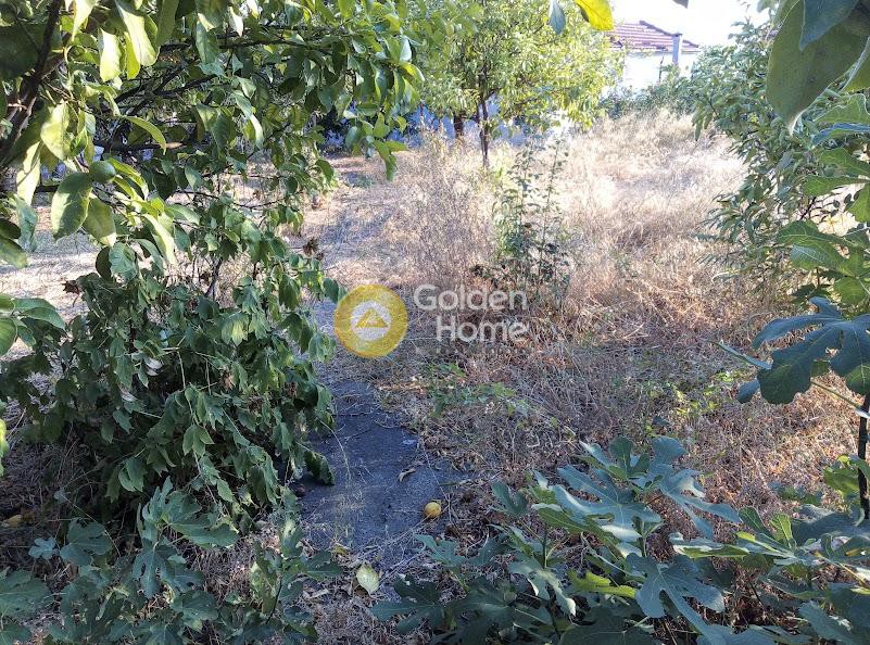 Οικόπεδο 1.000 τ.μ. πρός πώληση, Μαγνησία, Αρτέμιδα