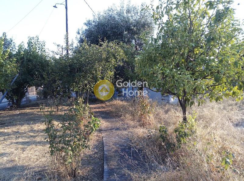 Οικόπεδο 1.000 τ.μ. πρός πώληση, Μαγνησία, Αρτέμιδα