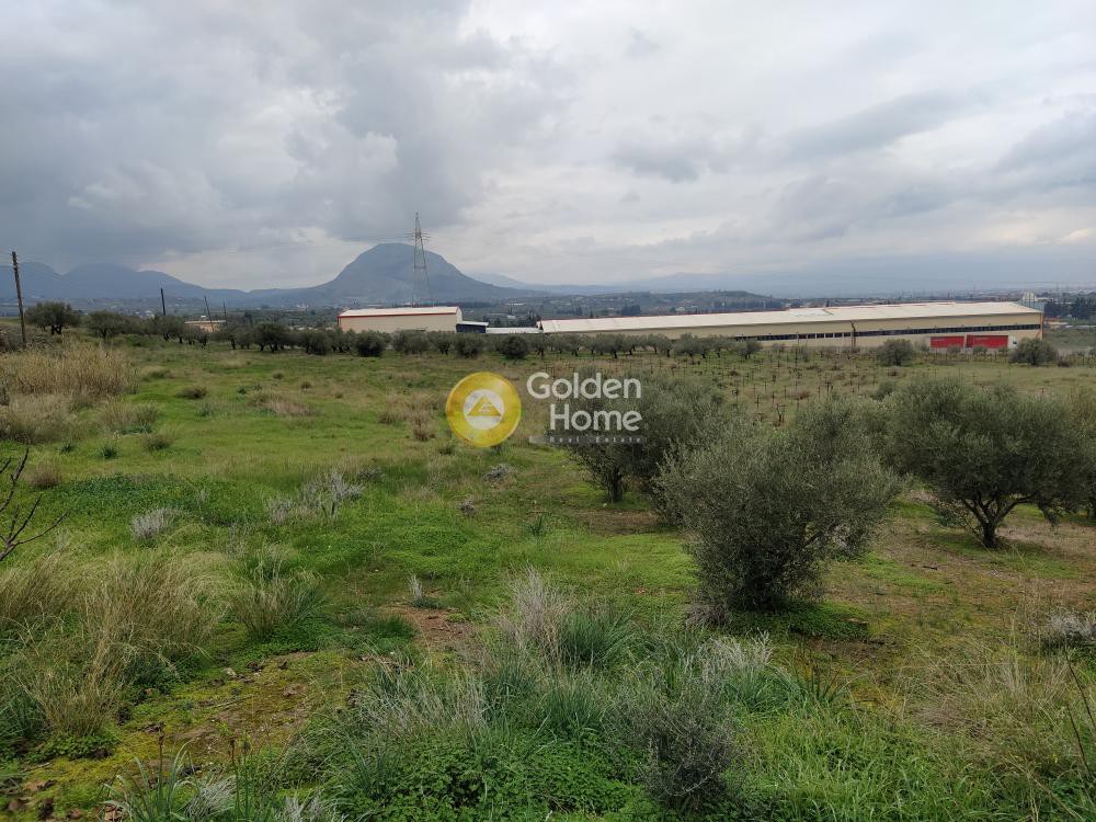 Οικόπεδο 21.540 τ.μ. προς πώληση, Εξαμίλια