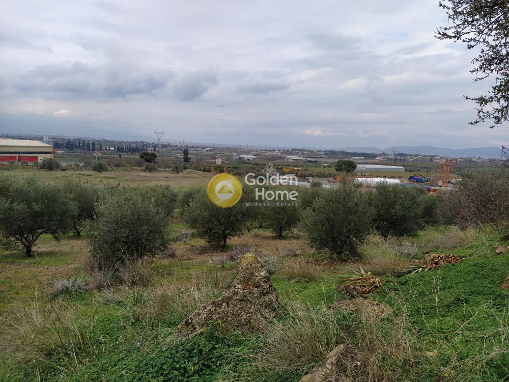Οικόπεδο 21.540 τ.μ. προς πώληση, Εξαμίλια