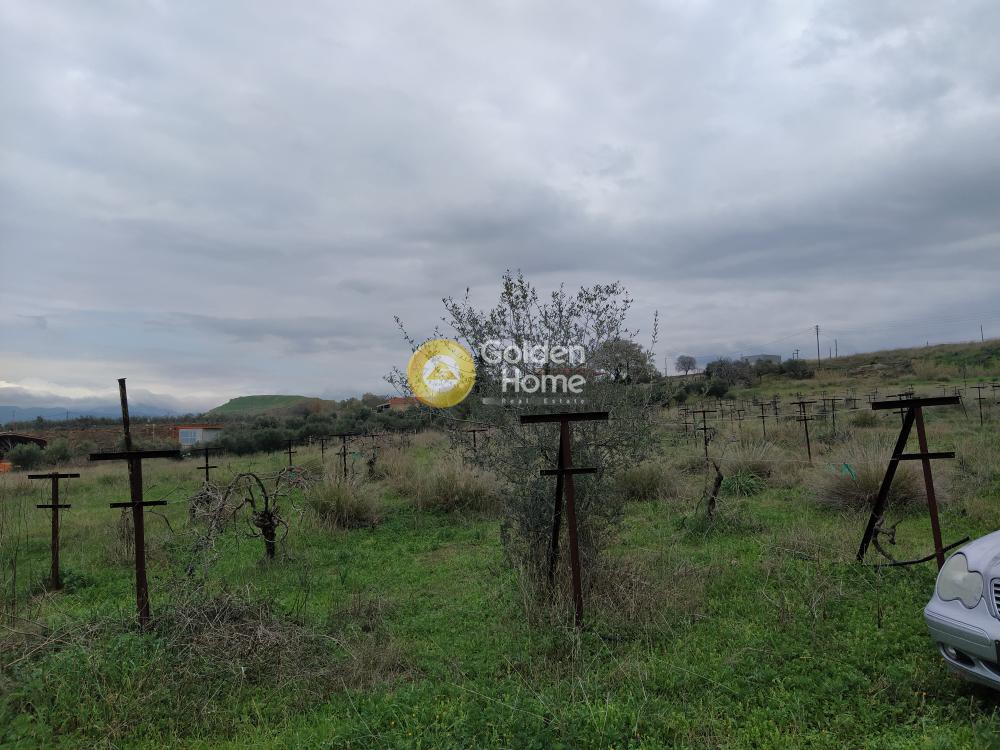 Οικόπεδο 21.540 τ.μ. προς πώληση, Εξαμίλια