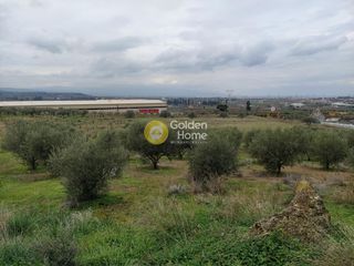 Οικόπεδο 21.540 τ.μ. για πώληση
