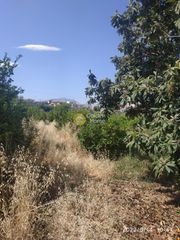 Οικόπεδο 3.000 τ.μ. για πώληση