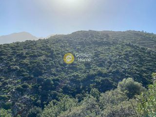 Άλλο 36.000 τ.μ. για πώληση, Ν. Ρεθύμνου, Γεροπόταμος-thumb-3