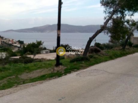 Αγροτεμάχια 1.000 τ.μ. για πώληση