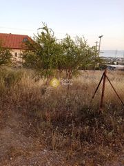 Αγροτεμάχια 251 τ.μ. για πώληση