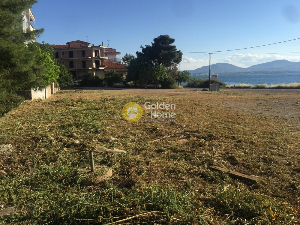 Οικόπεδο 1.980 τ.μ. προς πώληση, Κέντρο Νέας Αρτάκης