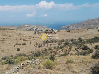 Αγροτεμάχια 9.762 τ.μ. για πώληση