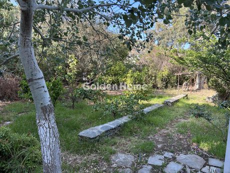 Parcel 4.559sqm for sale-Kea » Kalogerados