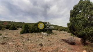 Οικόπεδο 7.485 τ.μ. για πώληση, Φωκίδα, Δεσφίνα-thumb-6