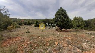 Οικόπεδο 7.485 τ.μ. για πώληση, Φωκίδα, Δεσφίνα-thumb-5