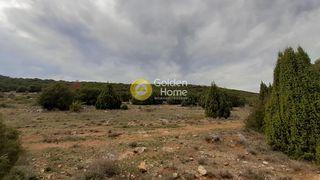 Οικόπεδο 7.485 τ.μ. για πώληση, Φωκίδα, Δεσφίνα-thumb-4