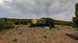 Οικόπεδο 7.485 τ.μ. για πώληση, Φωκίδα, Δεσφίνα-thumb-2