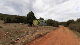Οικόπεδο 7.485 τ.μ. για πώληση, Φωκίδα, Δεσφίνα-thumb-1