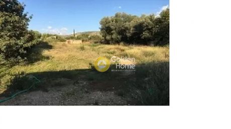 Οικόπεδο 2.400 τ.μ. πρός ενοικίαση