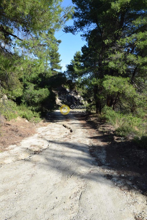 Αγροτεμάχια 20.044 τ.μ. προς πώληση, Αγία Παρασκευή Παλλήνης