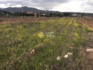 Αγροτεμάχια 3.500 τ.μ. για πώληση