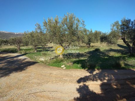 Αγροτεμάχια 3.800τ.μ. για πώληση-Θίσβη » Ξηρονομή