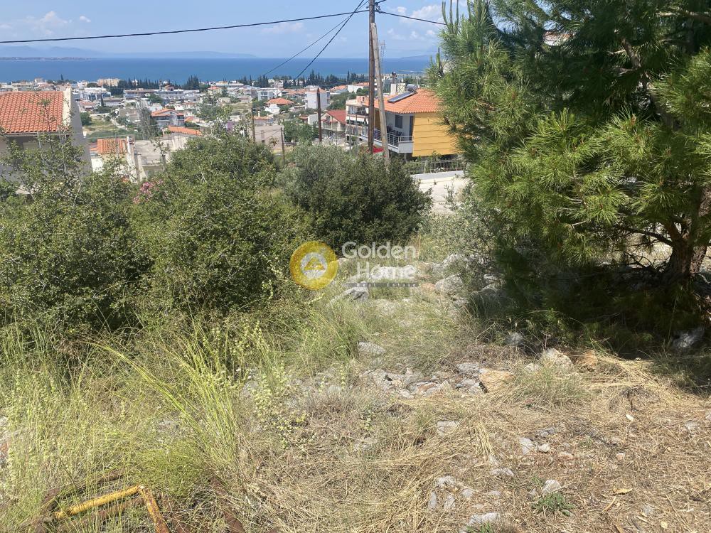 Οικόπεδο 266 τ.μ. προς πώληση, Έξω Παναγίτσα