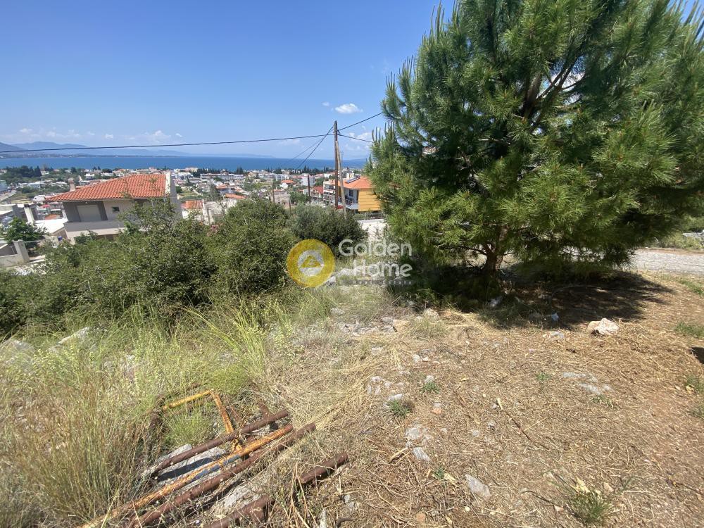 Οικόπεδο 266 τ.μ. προς πώληση, Έξω Παναγίτσα