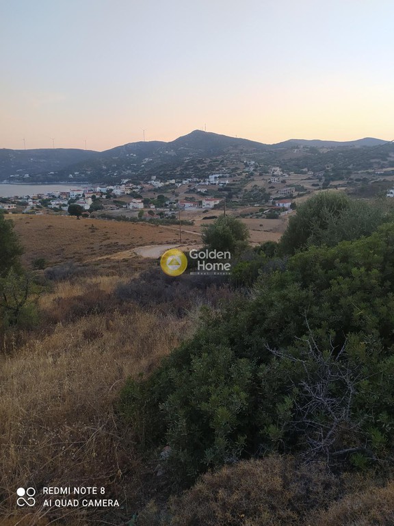 Οικόπεδο 5.000 τ.μ. προς πώληση, Άγιοι Απόστολοι Δύστου