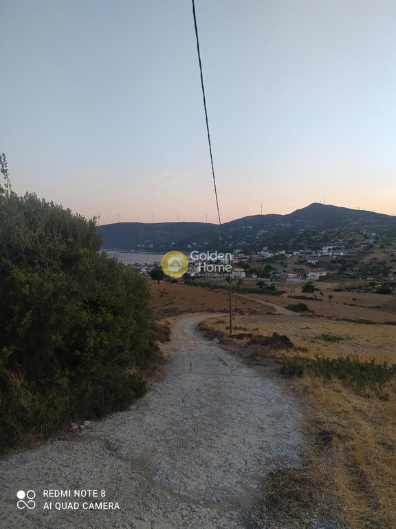 Οικόπεδο 5.000 τ.μ. προς πώληση, Άγιοι Απόστολοι Δύστου