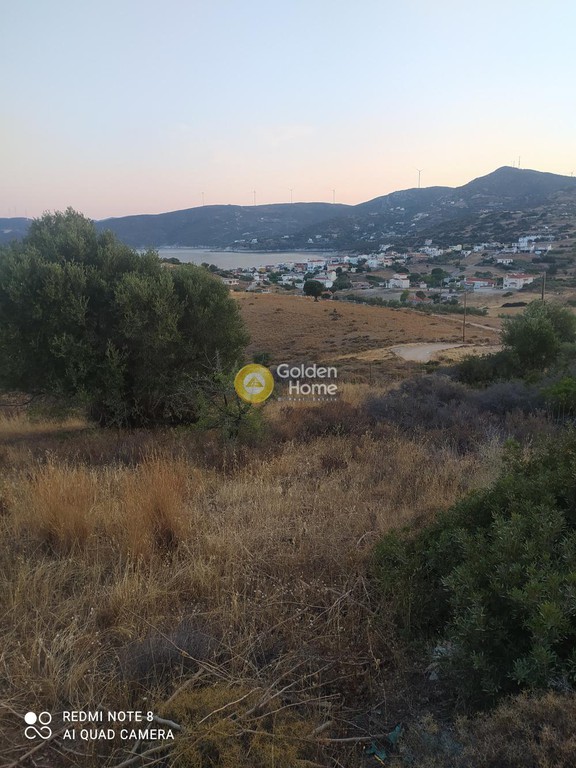 Οικόπεδο 5.000 τ.μ. προς πώληση, Άγιοι Απόστολοι Δύστου