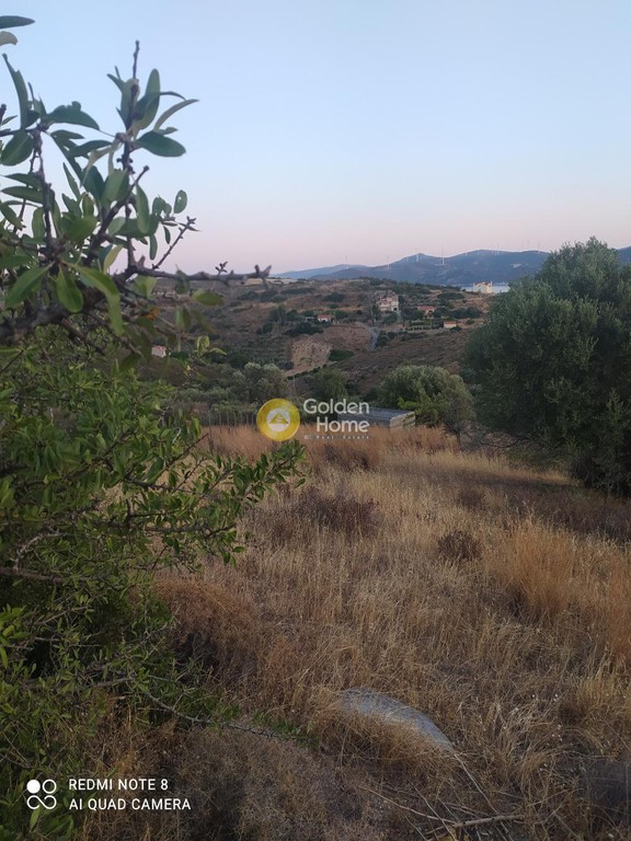 Οικόπεδο 5.000 τ.μ. προς πώληση, Άγιοι Απόστολοι Δύστου